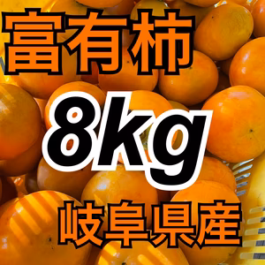 今が旬‼️富有柿家庭用10kg詰め合わせ⭐️岐阜県本巣市産