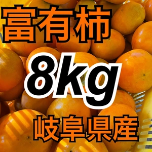 今が旬‼️富有柿家庭用10kg詰め合わせ⭐️岐阜県本巣市産