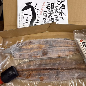 くしまの黒潮うなぎ（400g前後）