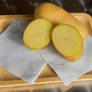 栃木産　メークイーン