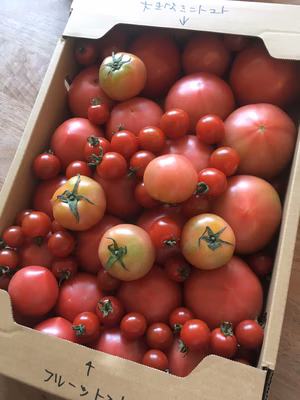 みんなの投稿の画像