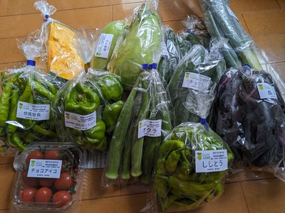 みんなの投稿の画像