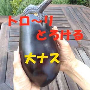 トローリとろける　大ナス