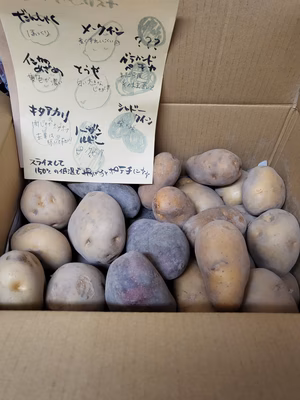 みんなの投稿の画像