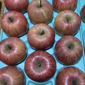 3キロ9-13玉入農薬半減栽培樹上完熟葉取らずサンふじ