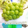 贈答用＊大粒シャインマスカット1房◎900g＊7月下旬～【ポケマルの夏ギフト】