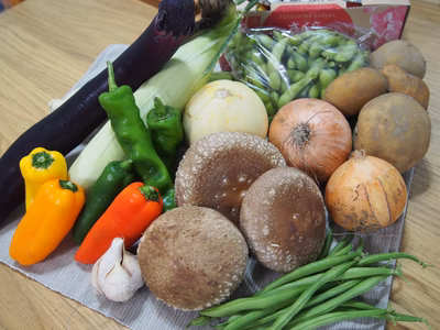 みんなの投稿の画像