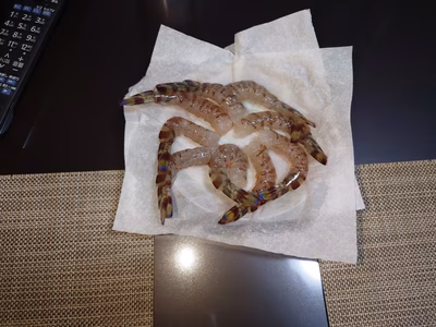 みんなの投稿の画像