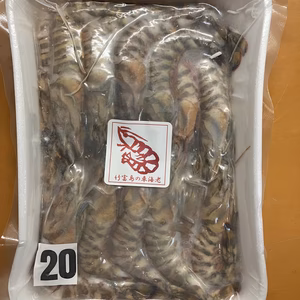 ※【希少サイズ】※～竹富島産車エビ～活〆真空パック250g