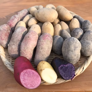 【じゃがいも】【セット】お試し！食べ比べセット(おまかせ3～5種)