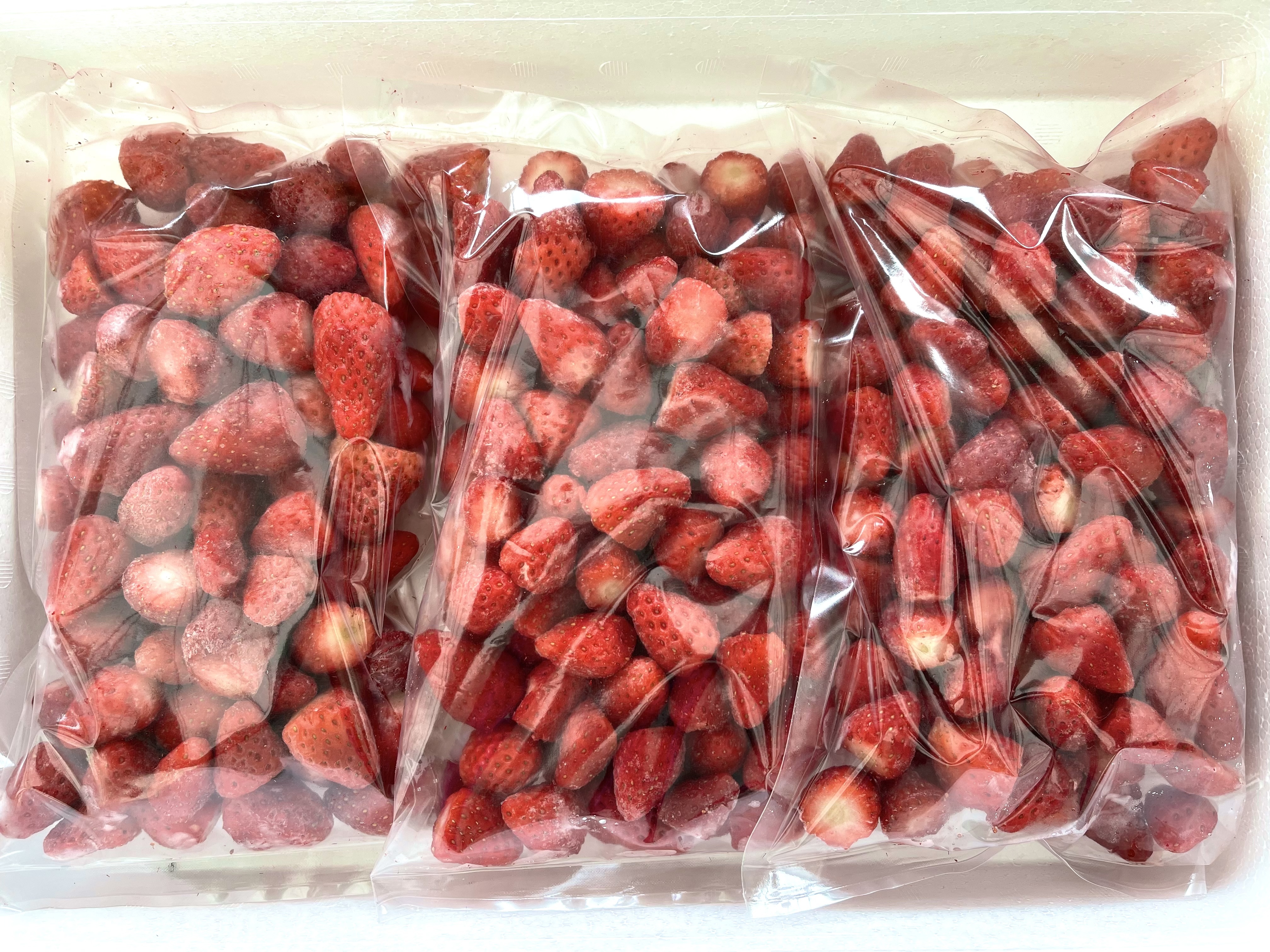 訳あり商品 ふるさと納税 日南市 500g 2 いちごシロップ付 冷凍いちご