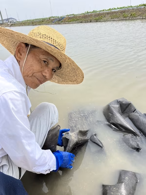 みんなの投稿の画像