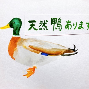 【冬期限定】天然鴨肉丸ごと堪能セット約280g(1〜2人前)