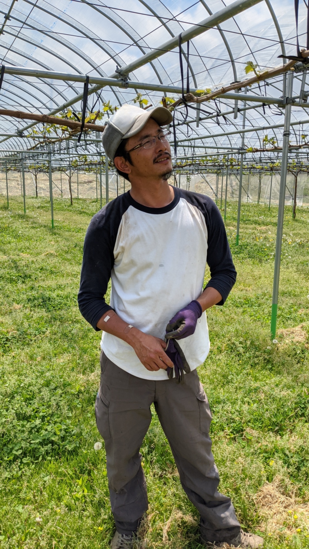 マルタ農園の通販 田村孝幸さん 農家漁師から産地直送の通販 ポケットマルシェ