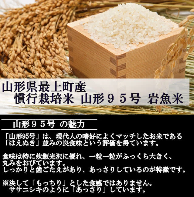 【山形県産】慣行栽培米 山形95号 岩魚米（玄米10kg 令和４年産）