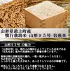 【山形県産】慣行栽培米 山形95号 岩魚米（玄米10kg 令和４年産）