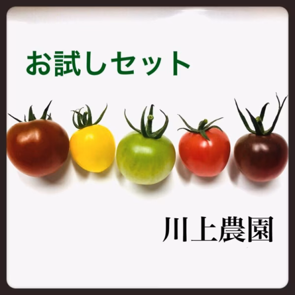 【川上農園】お試しセット