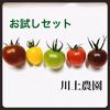 【川上農園】お試しセット