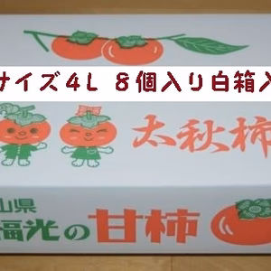 ＃再販チャンス　甘柿『太秋柿』　4L・8個入　白箱入り