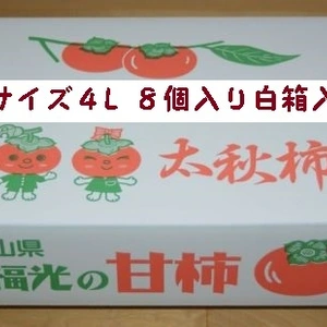 甘柿　｢太秋柿」 白箱　4L　8個入り　２.6kg以上
