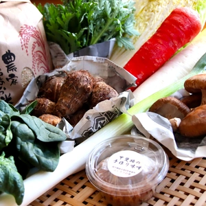 みそ鍋・雑炊に！甲斐路の冬野菜・お米・手作り味噌セット