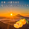 北海道へお届け　西浦みかん （12、1、2、3月限定）冷蔵便