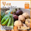 採れたて！旬野菜あれこれBOX(60サイズ)