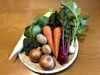 【自然農法の畑から直送 ♪】おまかせ野菜セット 6～8種類