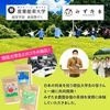【送料無料・学生コラボ】花茶・金木犀ウーロン ティーバッグ 牧之原