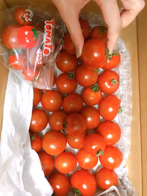 みんなの投稿の画像