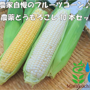 【7月上旬発送】農家直送！里山育ちの無農薬とうもろこし【おおもの】 10本セット