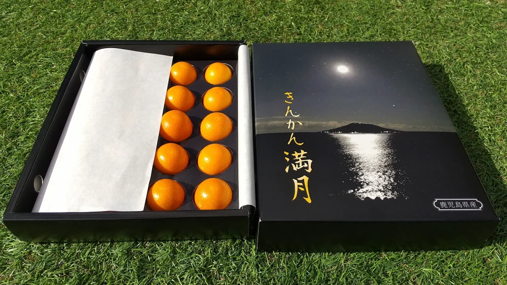 金柑の最高峰  〖満月〗キンカン化粧箱。