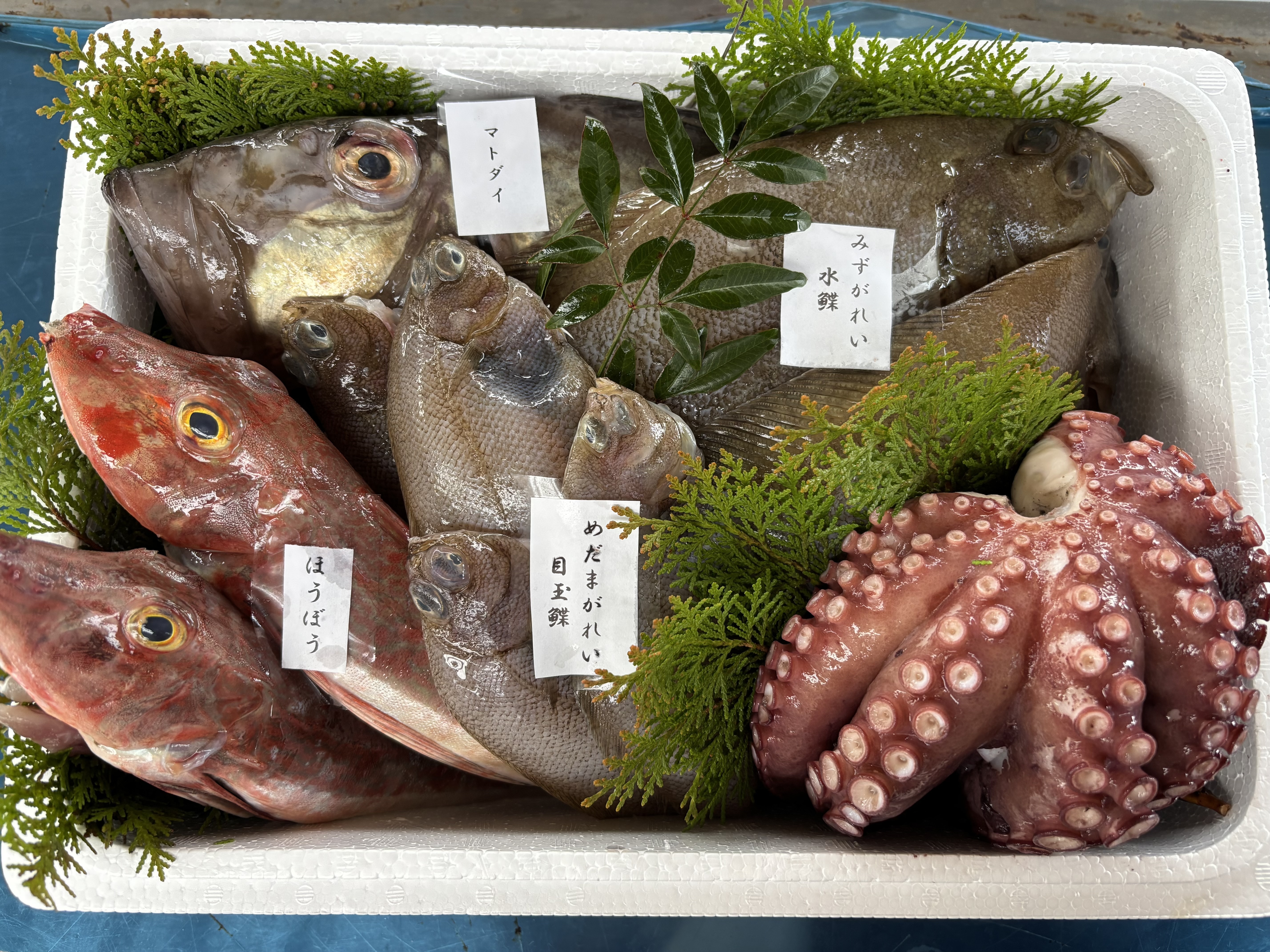 獲れたて直送！ 石巻の鮮魚詰め合わせ｜魚介セットの商品詳細