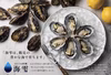 甘い❗️ひとくち真牡蠣【海雫~umishizuku~】殻付き生食用