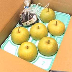 【梨・ぶどう】訳あり二十世紀梨５～7個入約2.5㌔、ナガノパープル粒200ｇ