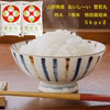 山形県産「美味しい雪若丸」５㎏x2 2021年新米 特A 特別栽培米  無洗米 