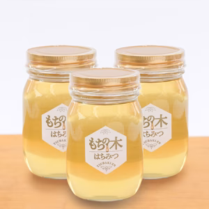 もちの木はちみつ500ｇ ３本セット