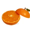 ポケマル４周年記念価格「ふぁおの柑橘3種セット」（12月発送）