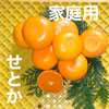 'せとか" 家庭用〜酸味と甘み溢れる春柑橘〜no4 1箱限定