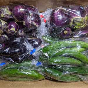 ナスとキュウリ