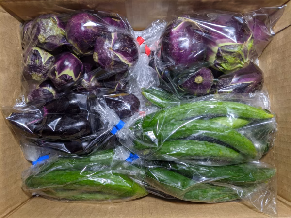 ナスとキュウリ