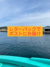 玄界灘の茎わかめ佃煮 　明太おかか入り　レターパック便