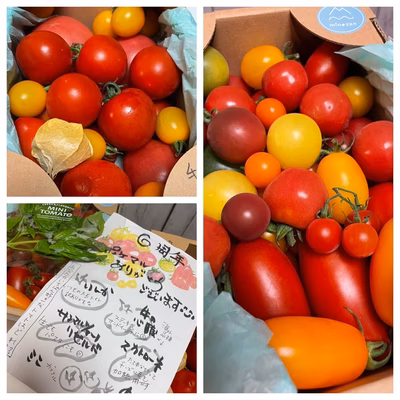 みんなの投稿の画像