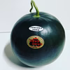 【大玉スイカ】ブラックジャック　1玉