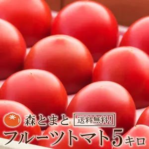 宮崎県産　フルーツトマト　5kg入　大きさは様々