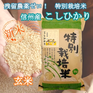 《玄米》【残留農薬ゼロ】つぶ感が人気の信州こしひかり 令和5年産