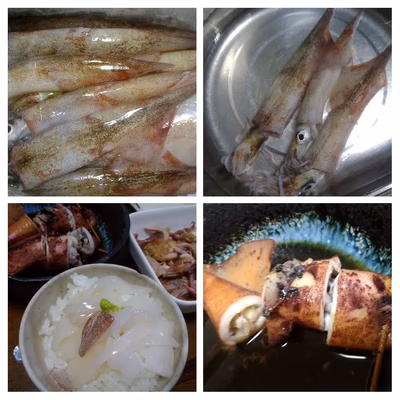 みんなの投稿の画像