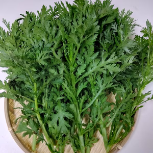 【期間限定】えぐみなく、茎まで柔らかい春菊