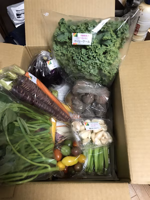 みんなの投稿の画像