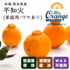 【本場 熊本県産】ワケあり不知火（しらぬい）約50％減農薬栽培